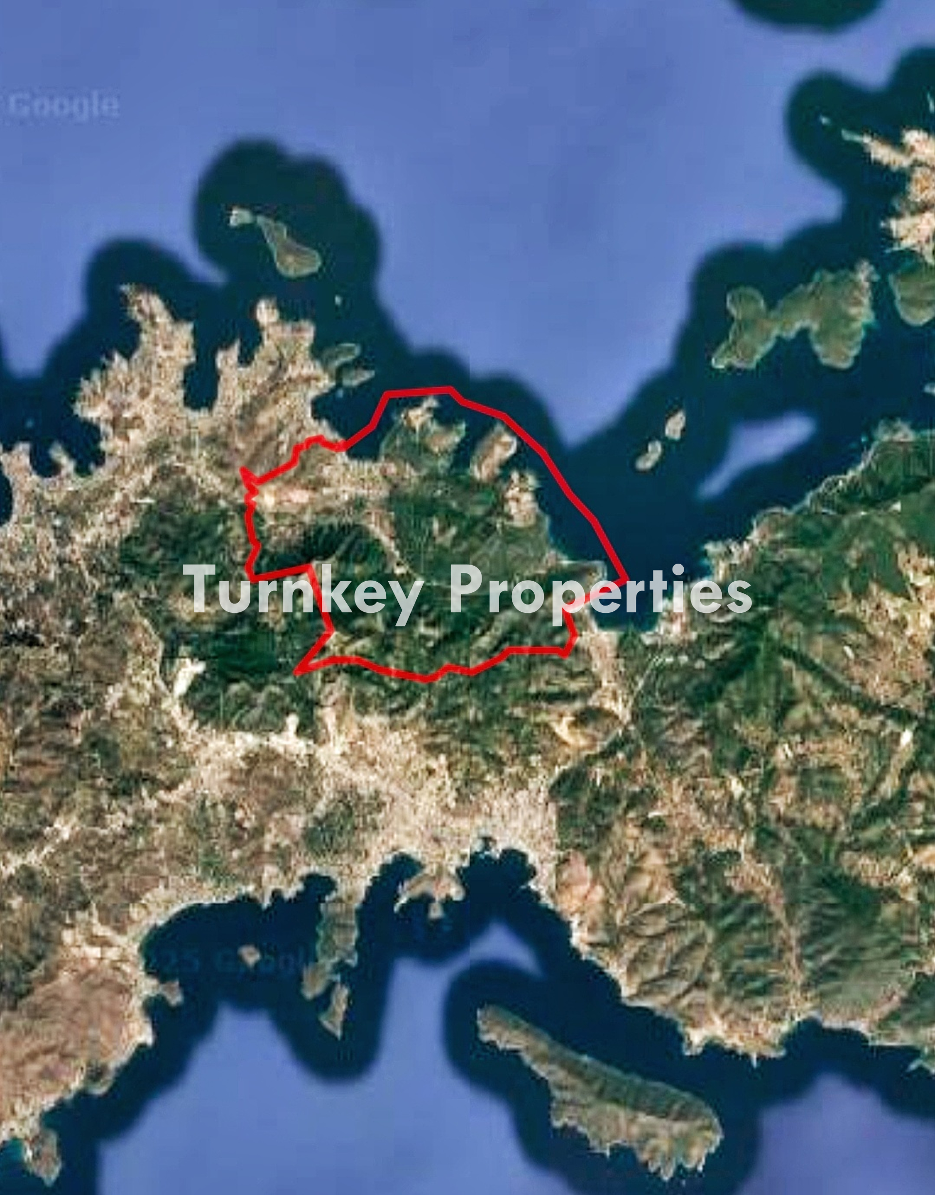 Bodrum Göl Mahallesinde Satılık 6.612 m² Zeytinlik Arazi